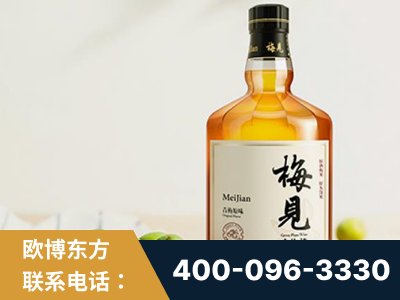 新乡-梅见青梅酒